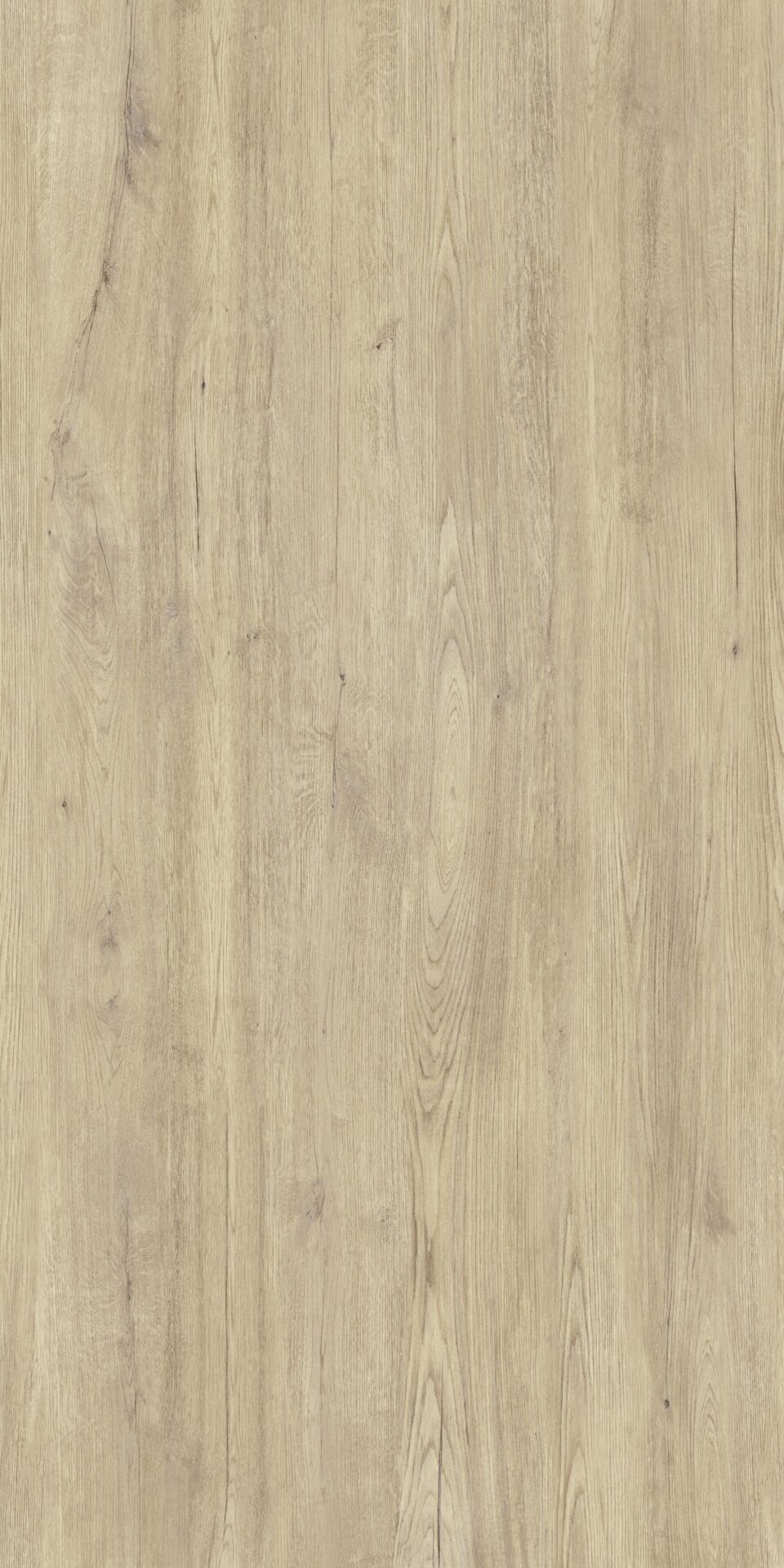 CT Jungla Cipres 1620x3240
