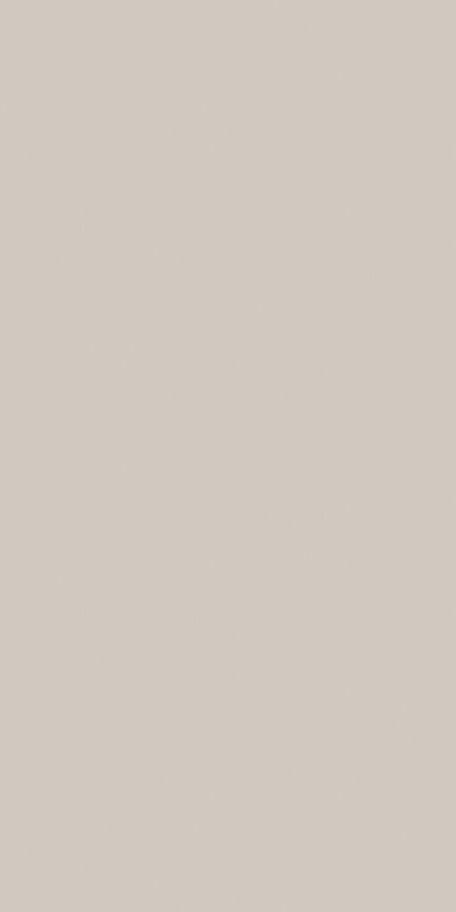 C Basic Cemento Natural 160x320x12